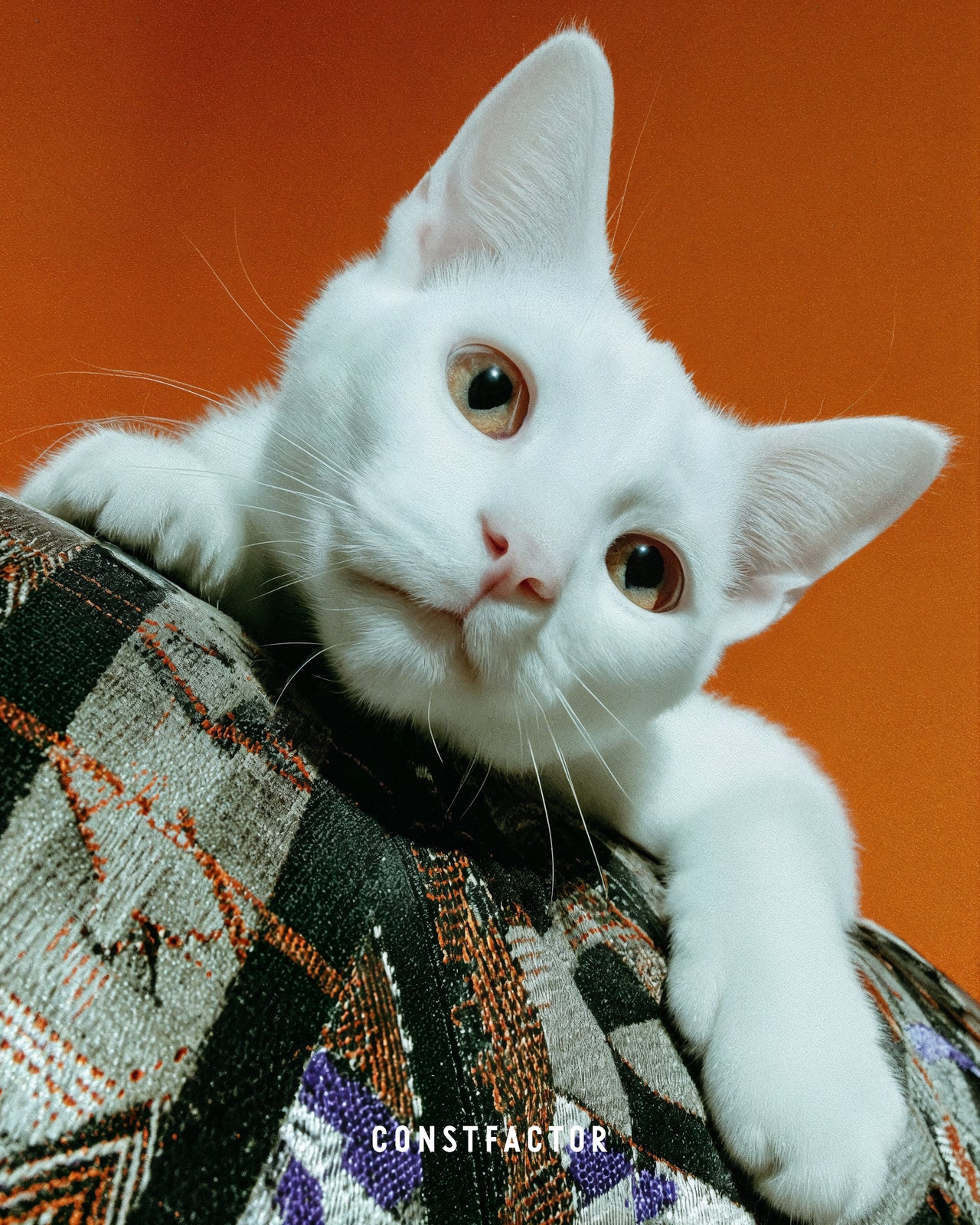 T셔츠【MEOWTAVERSE/COUCH PRINCE】(9847408)블랙